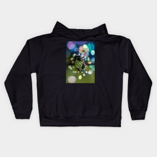 Soap Film - Bubbles in a spin Kids Hoodie